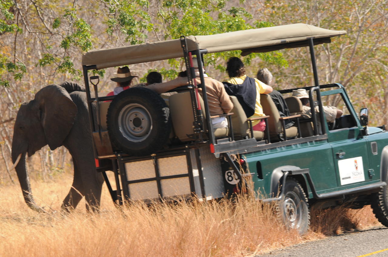Ngoma Safari Lodge Kavimba Eksteriør billede
