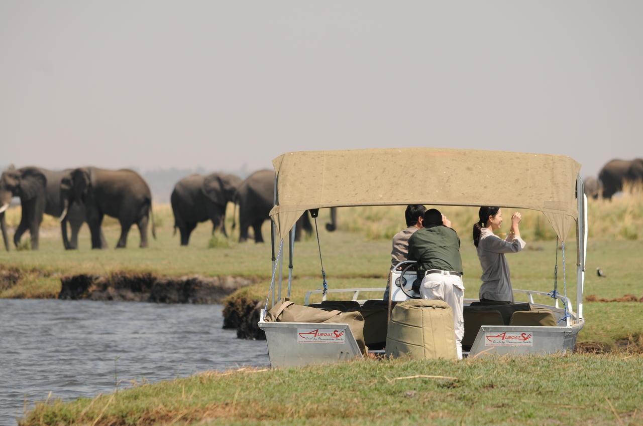 Ngoma Safari Lodge Kavimba Eksteriør billede