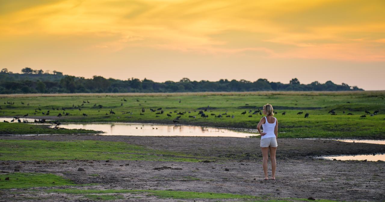 Ngoma Safari Lodge Kavimba Eksteriør billede