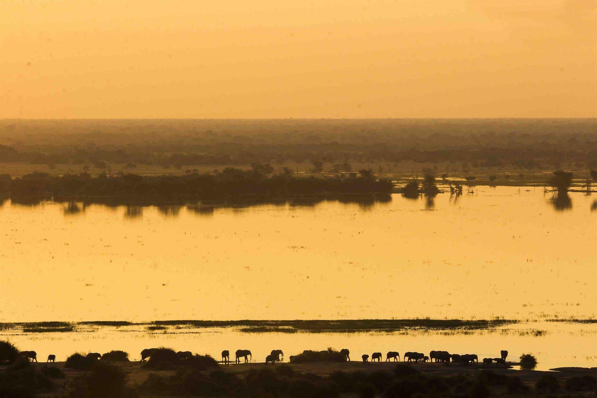 Ngoma Safari Lodge Kavimba Eksteriør billede