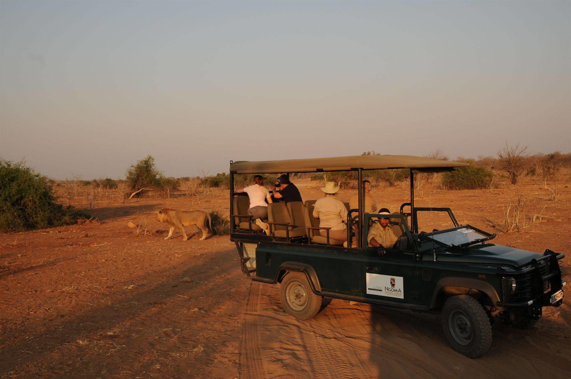 Ngoma Safari Lodge Kavimba Eksteriør billede