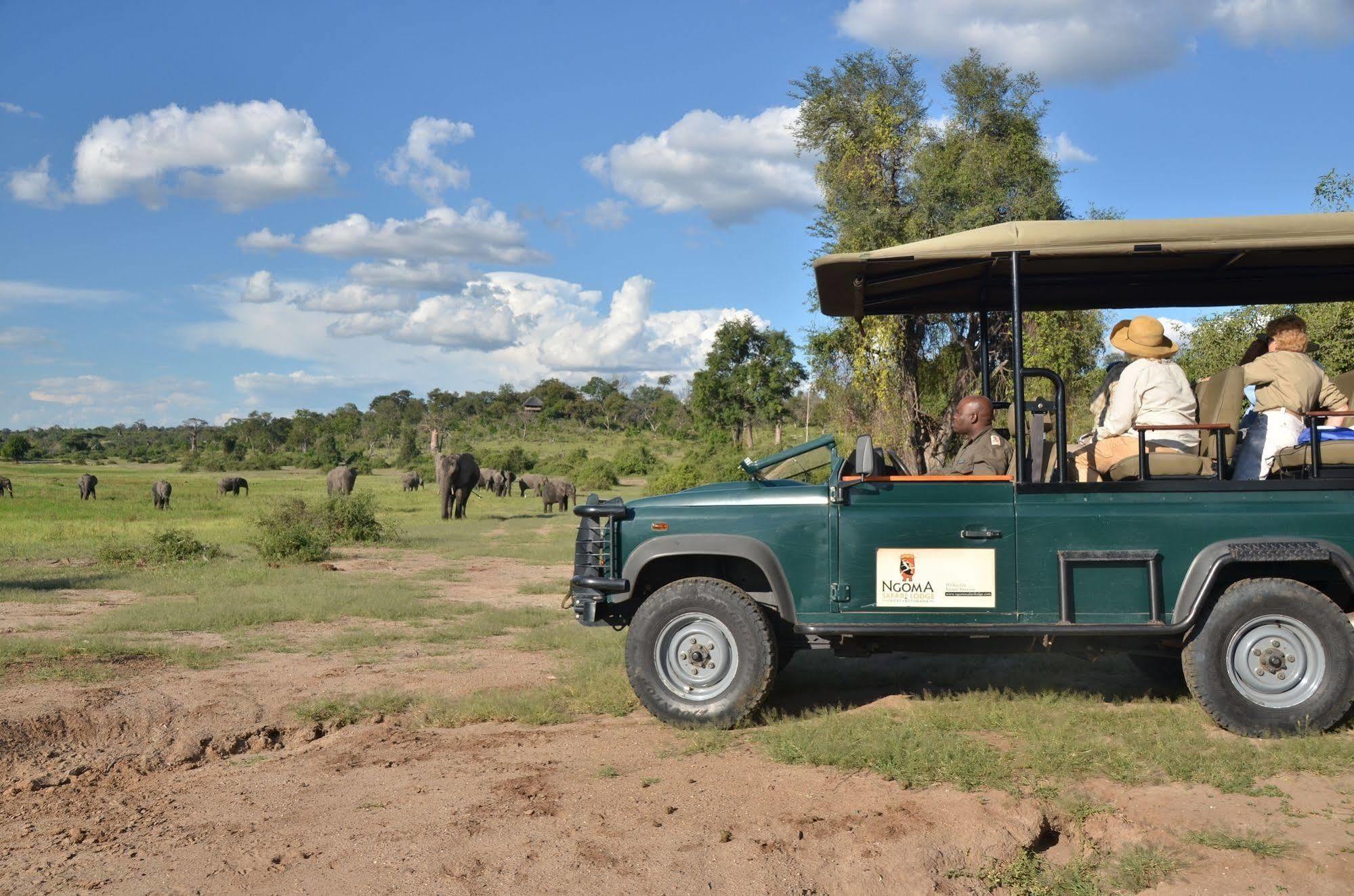 Ngoma Safari Lodge Kavimba Eksteriør billede